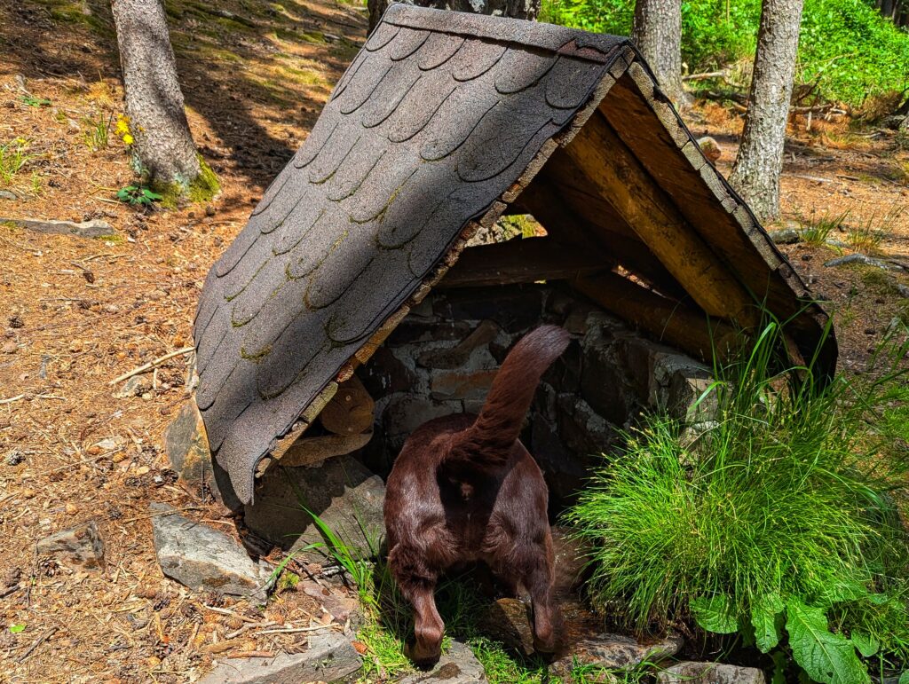 Artík ve studánce